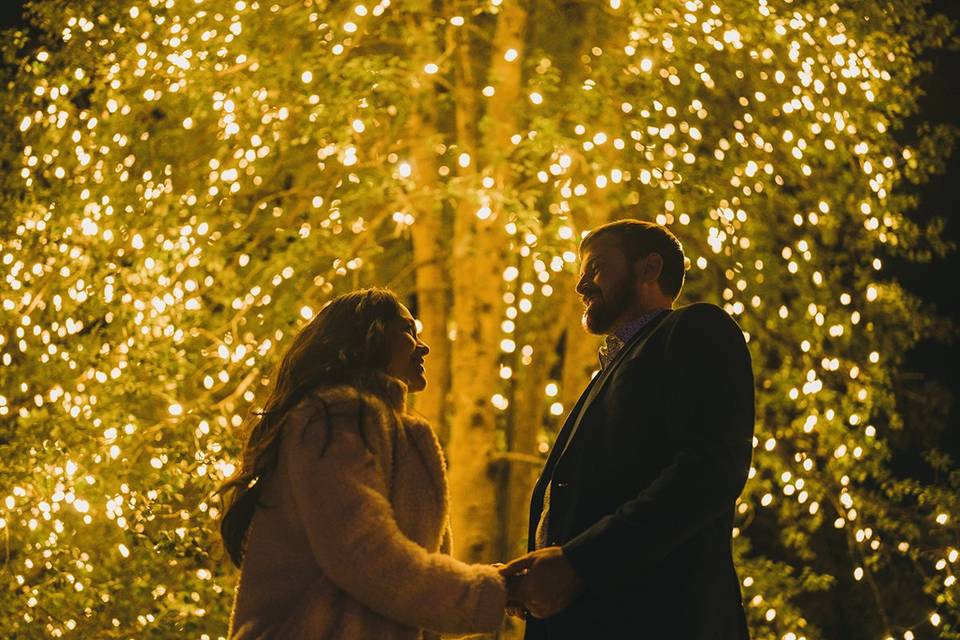 C + K at Brookside Gardens
