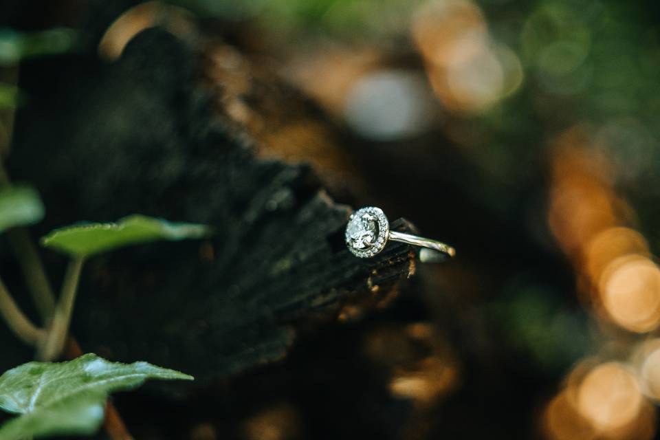 Ring in nature