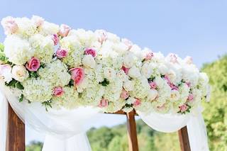 Petal Burst Flower Design Studio