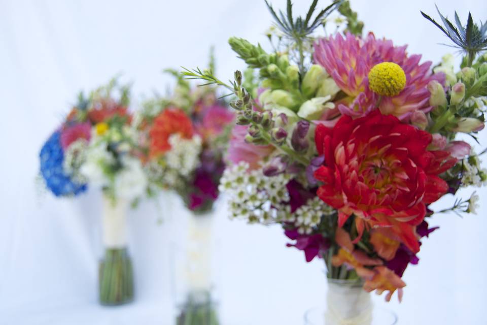 Petal Burst Flower Design Studio