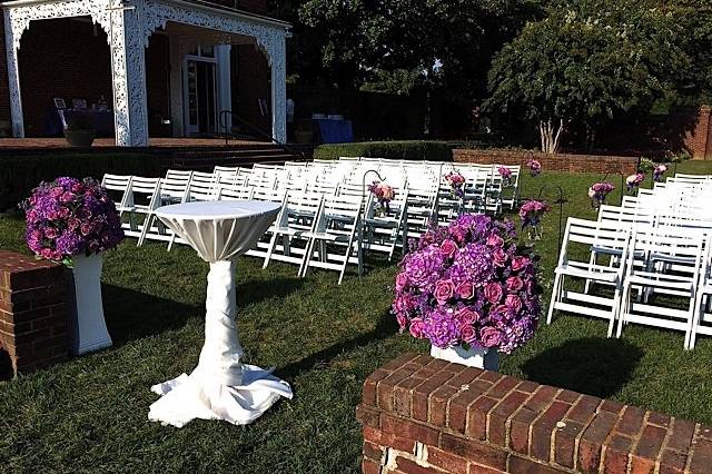 Petal Burst Flower Design Studio