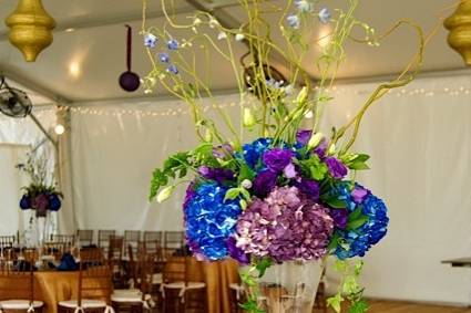 Petal Burst Flower Design Studio