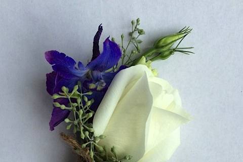 Petal Burst Flower Design Studio