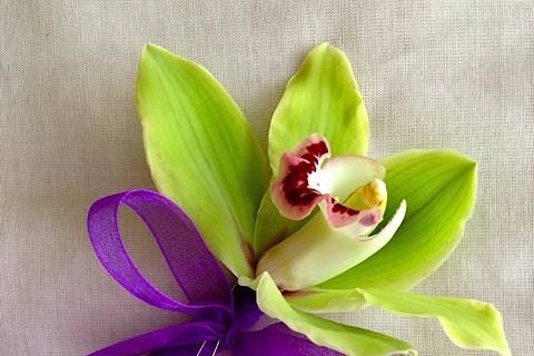Petal Burst Flower Design Studio