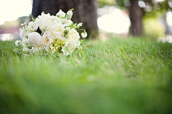 Mat & Ash Photography