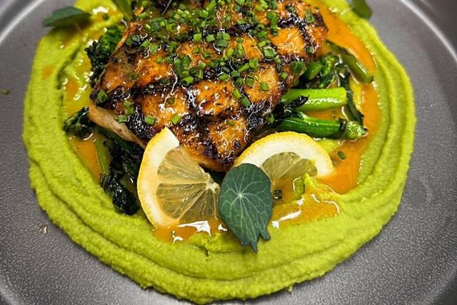 Salmon