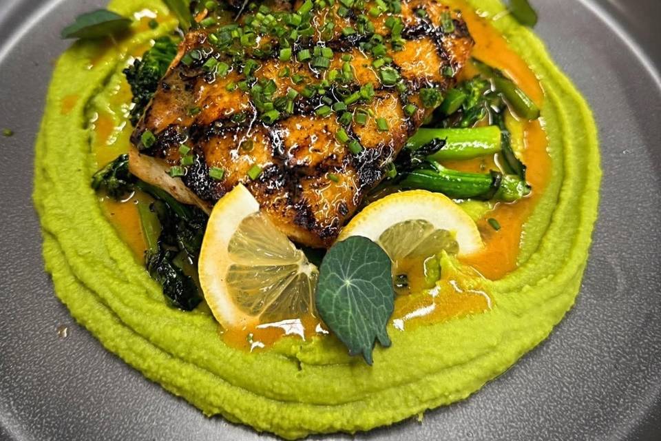Salmon