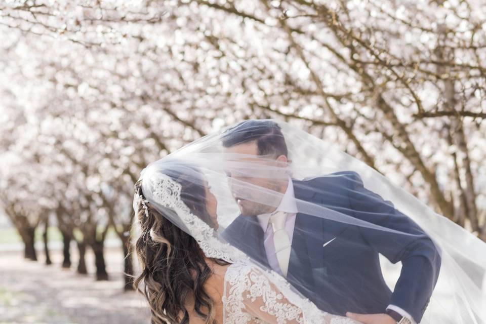 CHICO WEDDING