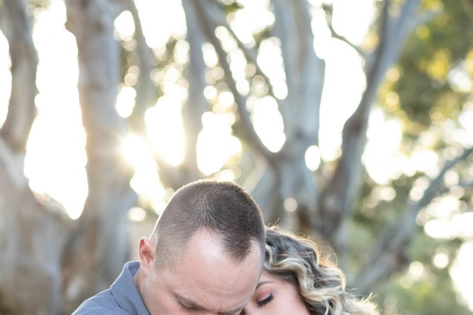 Sharkus Engagement