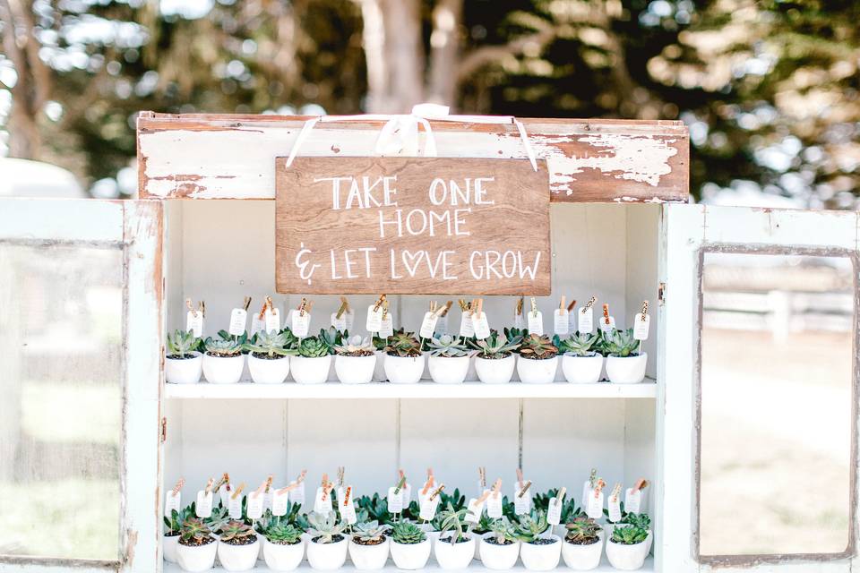 Love these wedding favors that keep on giving!