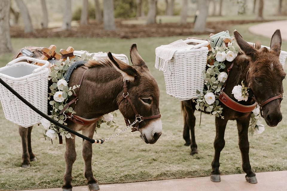 Beer Donkeys