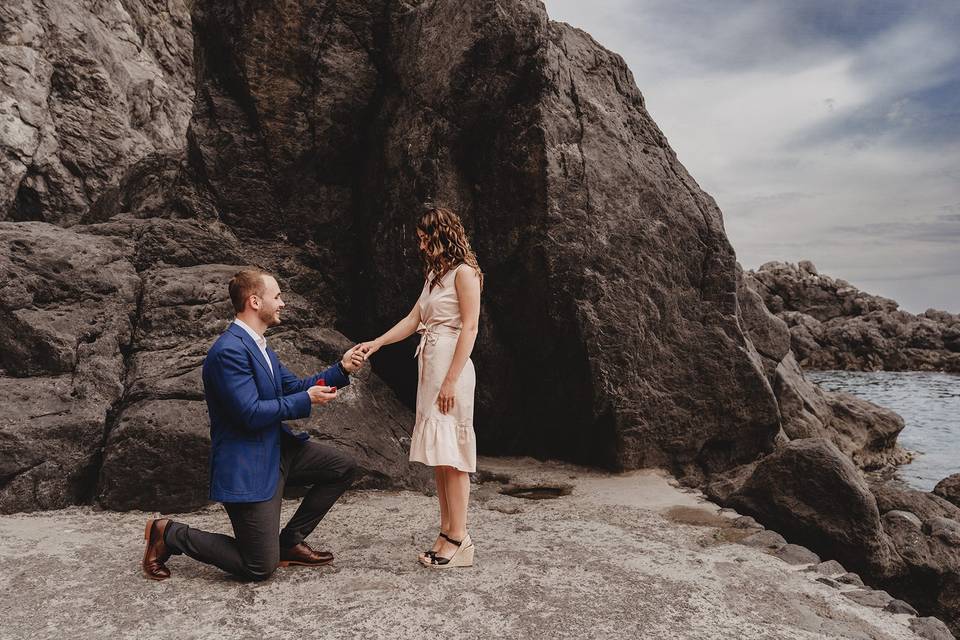 Proposal in Torre Normanna