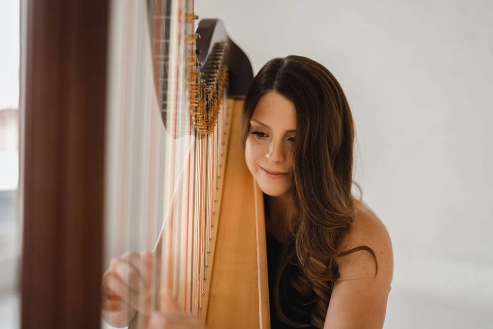 Lauren Hayes Harpist