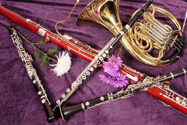 Alcova Ensemble