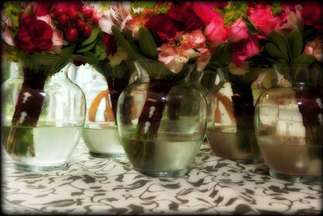 Stardust Photography Studio
