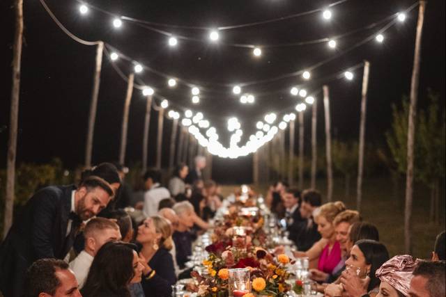 Vineyard dinner