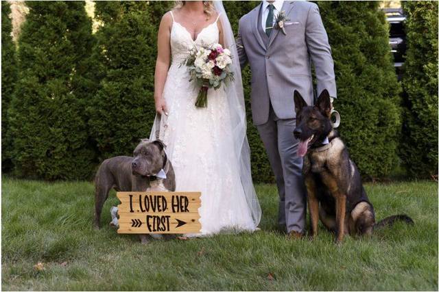 Our Pups