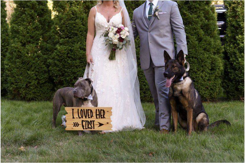Our Pups