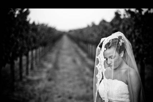 Zach Anderson Photography