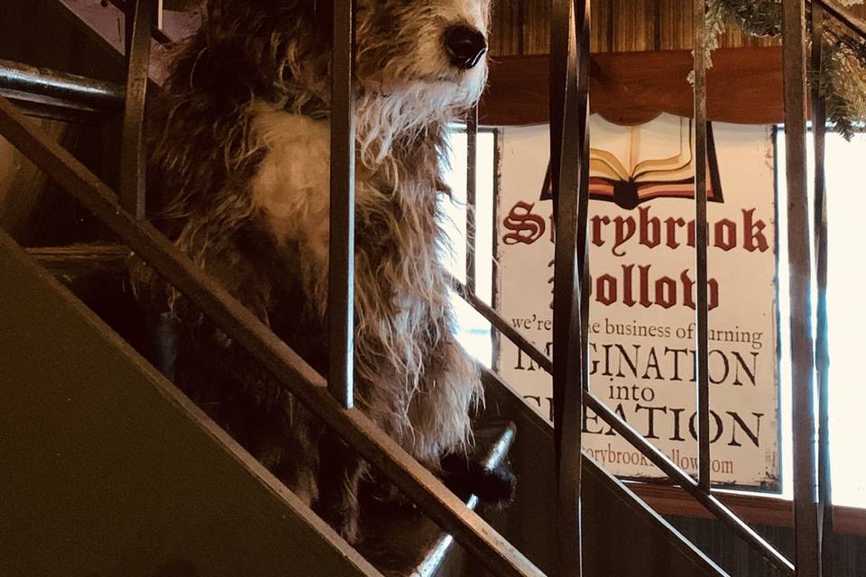 Muppet
