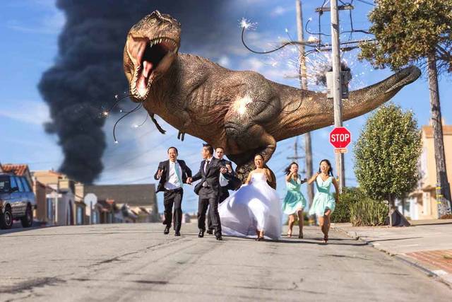 Mark Flower Photography