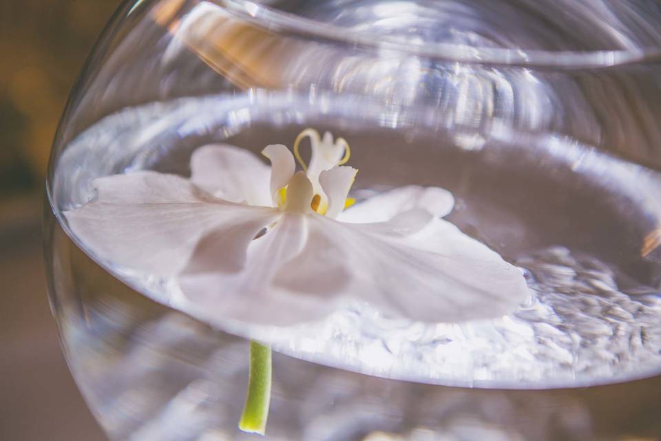 Mark Flower Photography