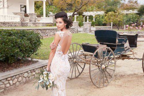 Backless Lace Cathedral Train