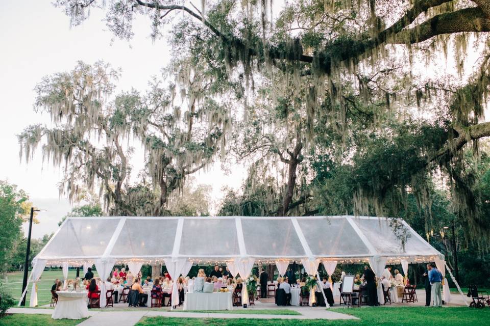 Beautiful tent setup