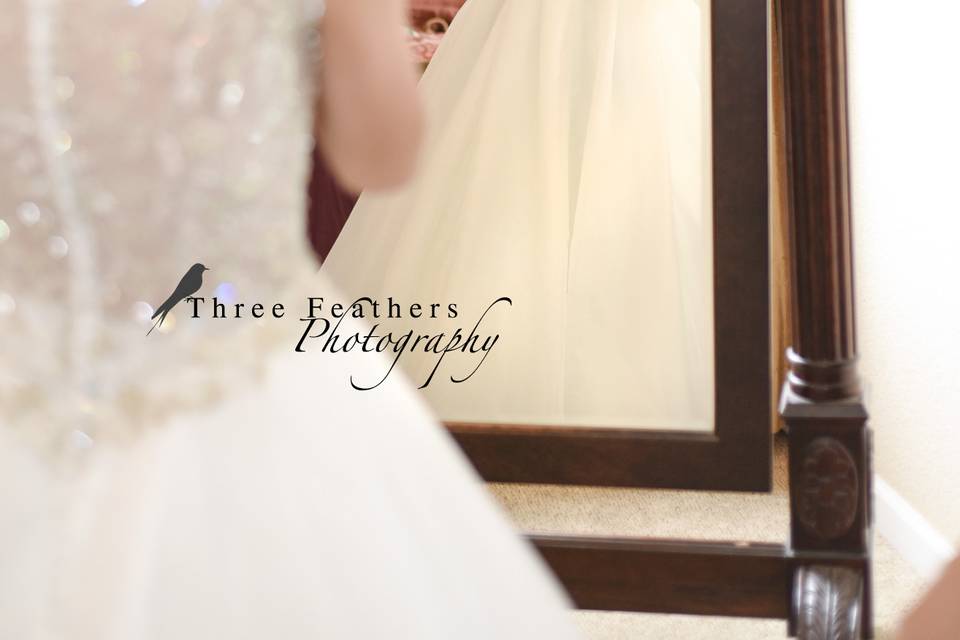 Three Feathers Photography