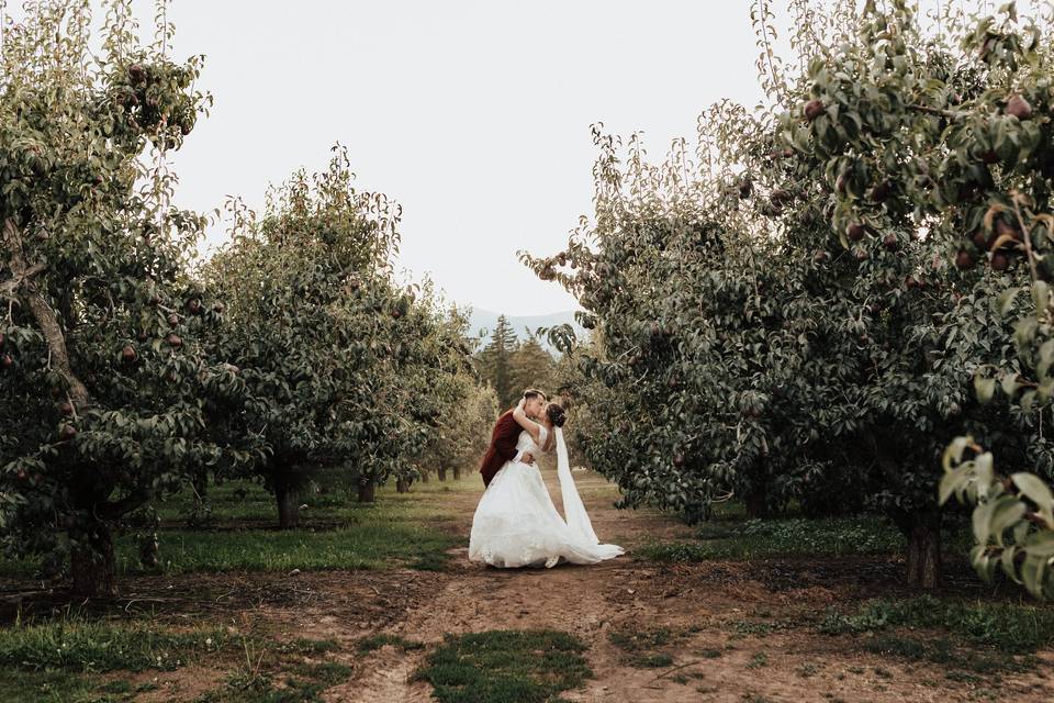 Bridal Portraits