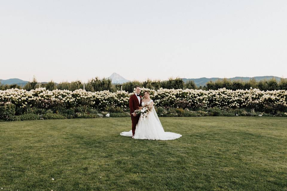 Bridal Portraits