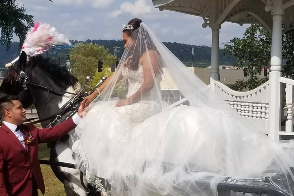 Couple posed with horse