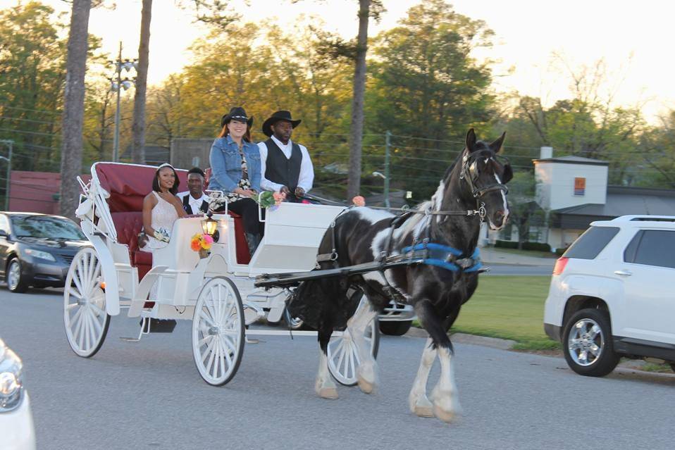 Mo's Carriages And Trail Rides