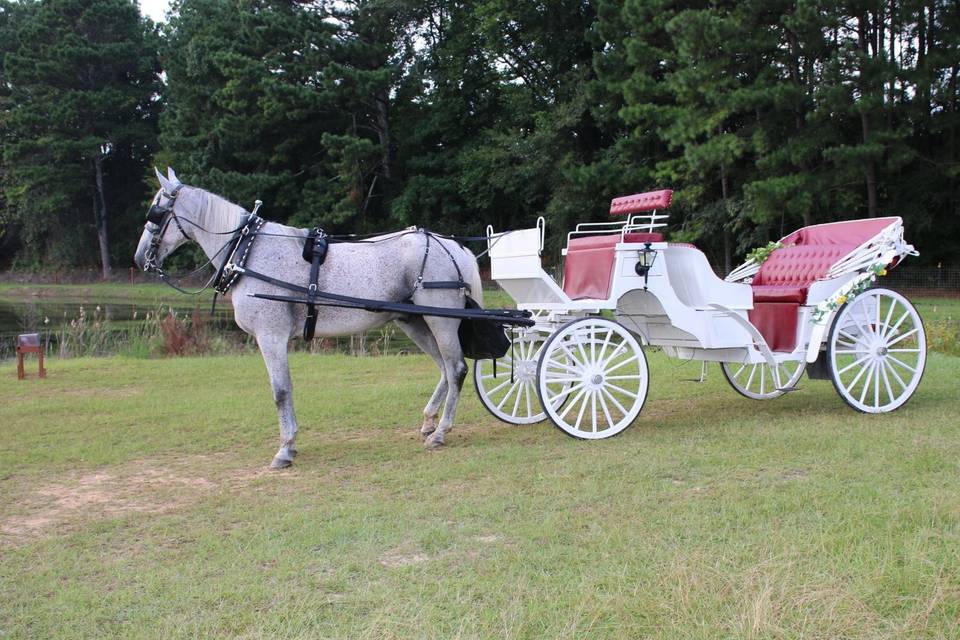 Mo's Carriages And Trail Rides