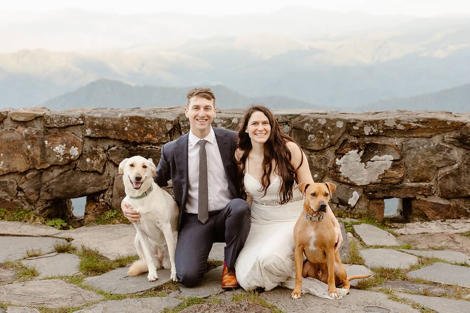 Bride groom and dogs