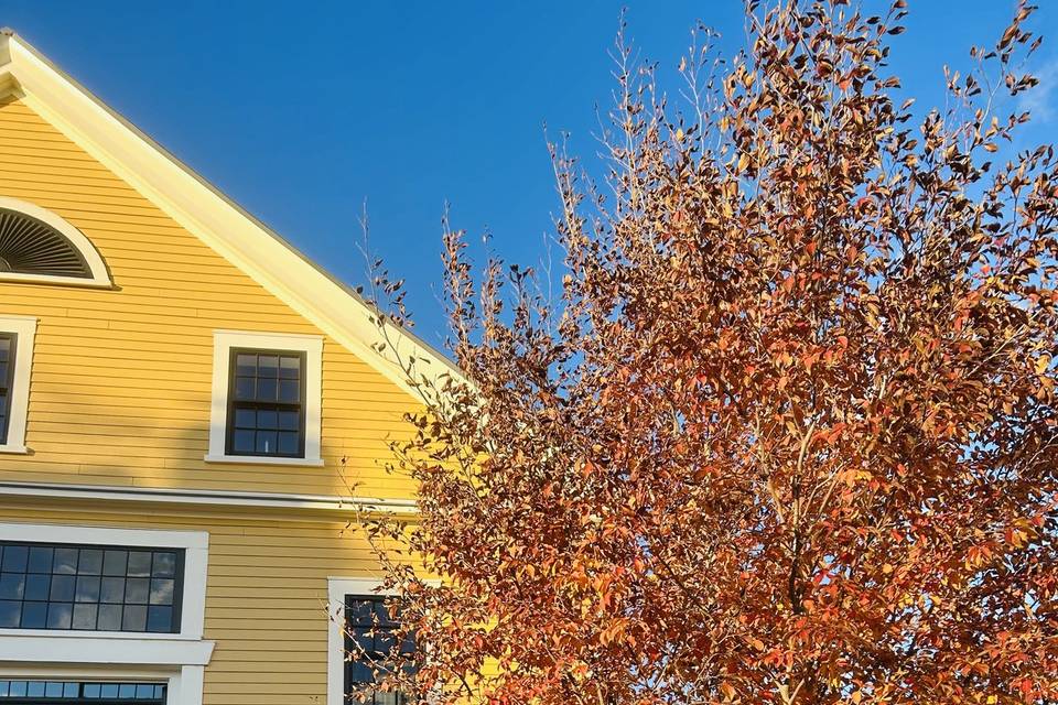 Fall