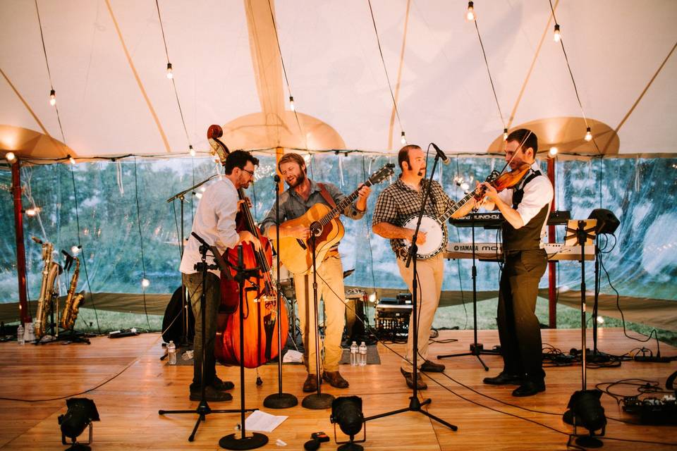 Lively reception band