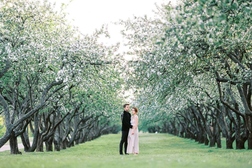 Engagement shoot in orchards