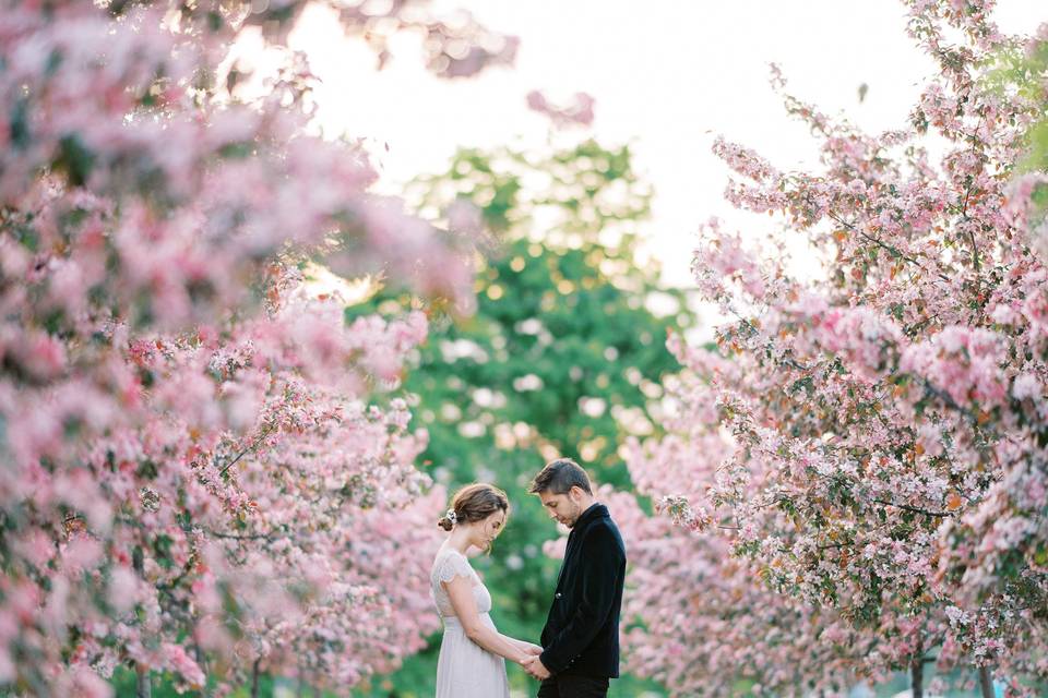 Engagement shoot in orchards