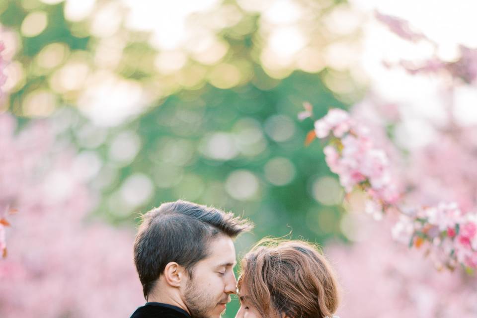 Engagement shoot in orchards