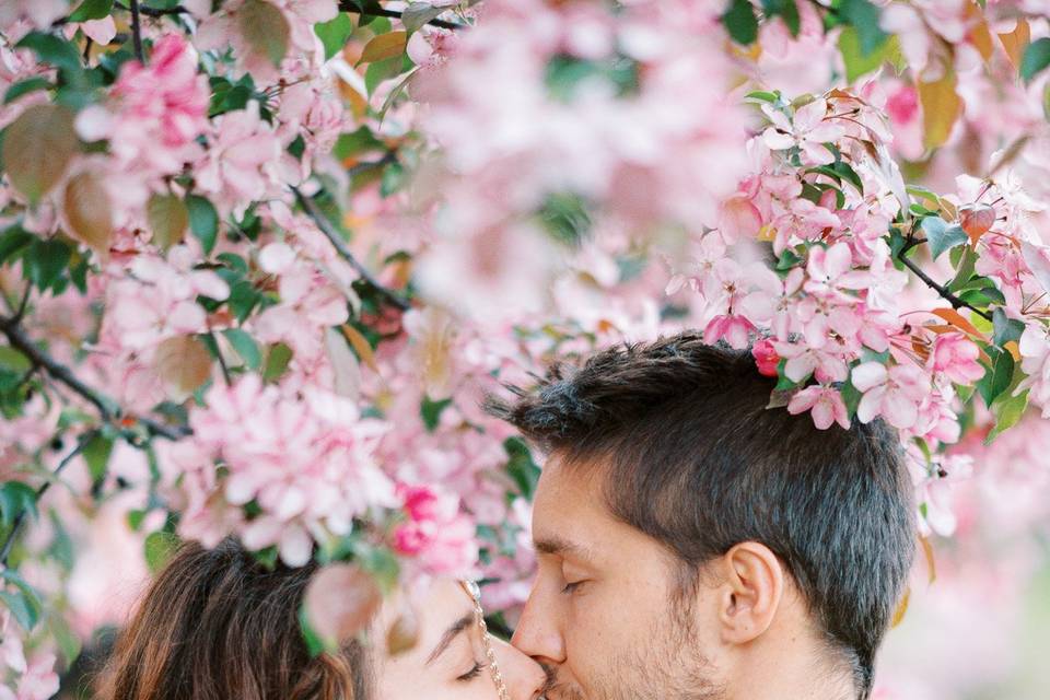 Engagement shoot in orchards