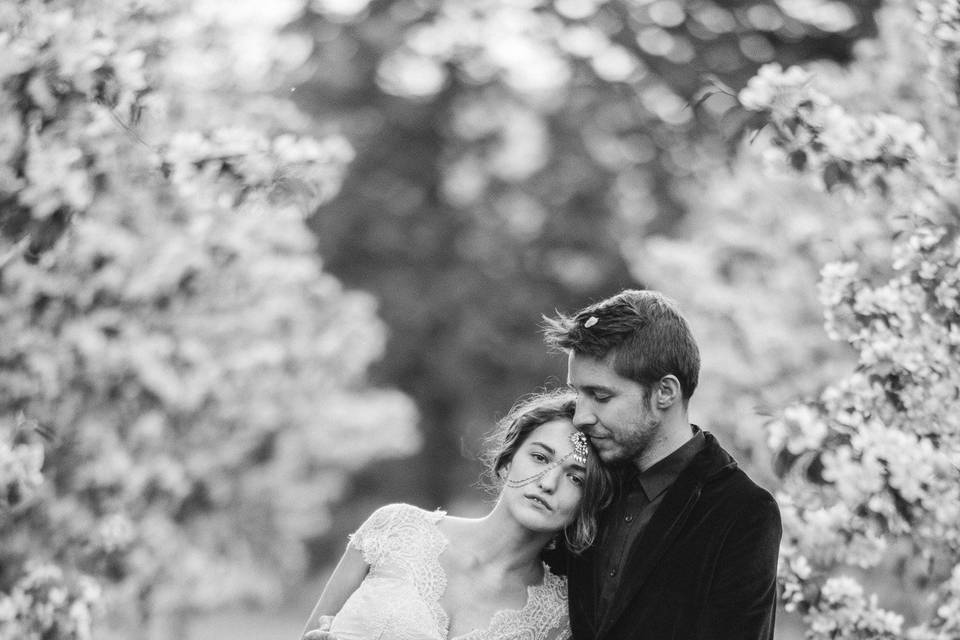 Engagement shoot in orchards