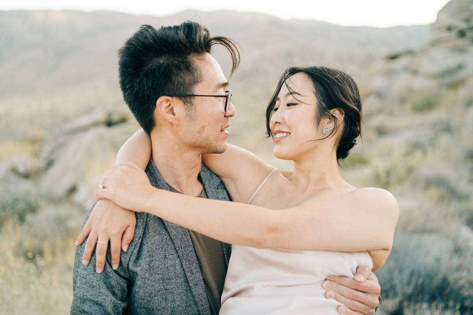 Engagement in Anza-Borrego