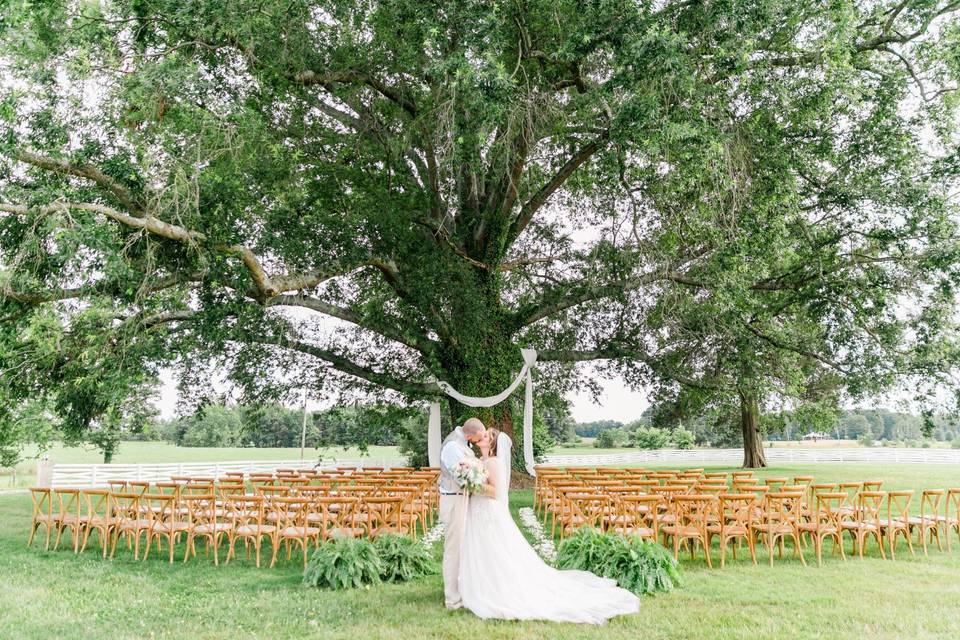 Couple by the weeping oak