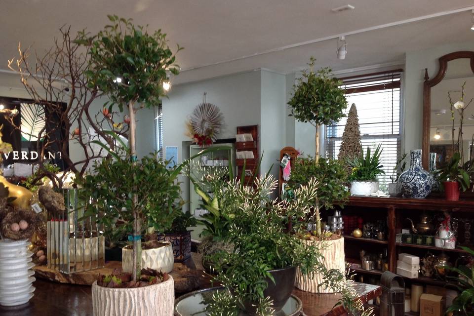 Verdant Floral Studio