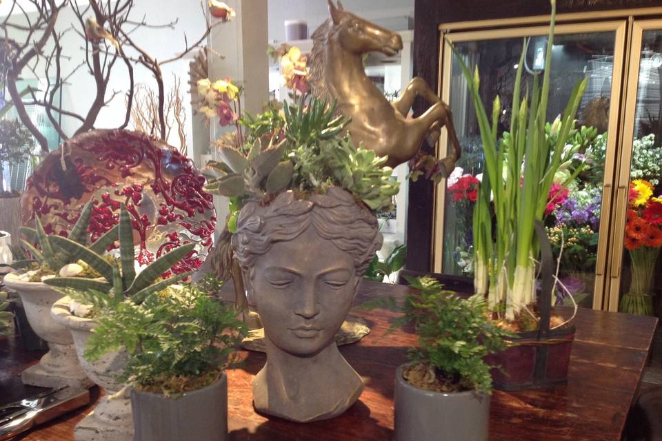 Verdant Floral Studio