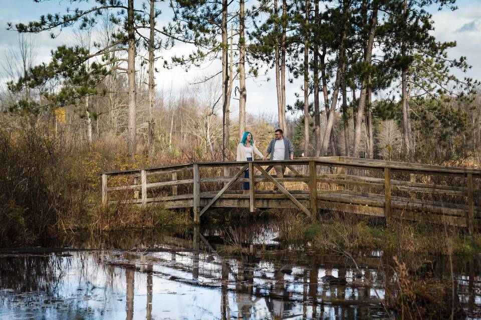 Reinstein woods buffalo