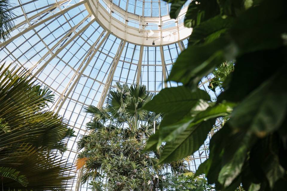 Erie county botanical gardens