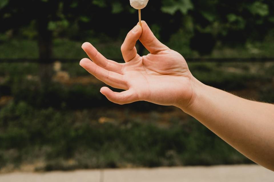 Skewered appetizer- Engle Olson Photography