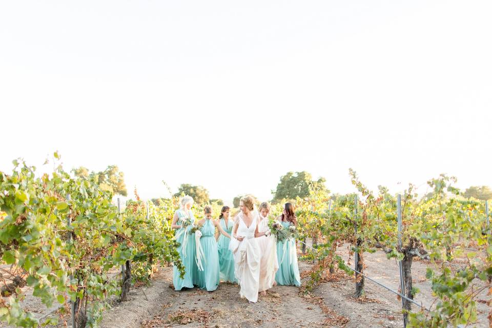 Bridal party in a vineyard